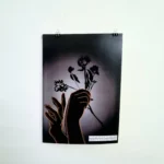 Beauty in everyday things Poster