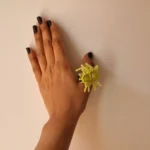 Spider Brooch